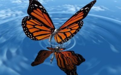 Networking, Relationships And The Butterfly Effect