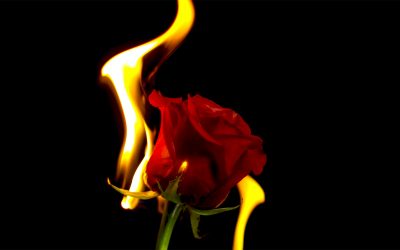 The Long, Enduring Flame Called Love